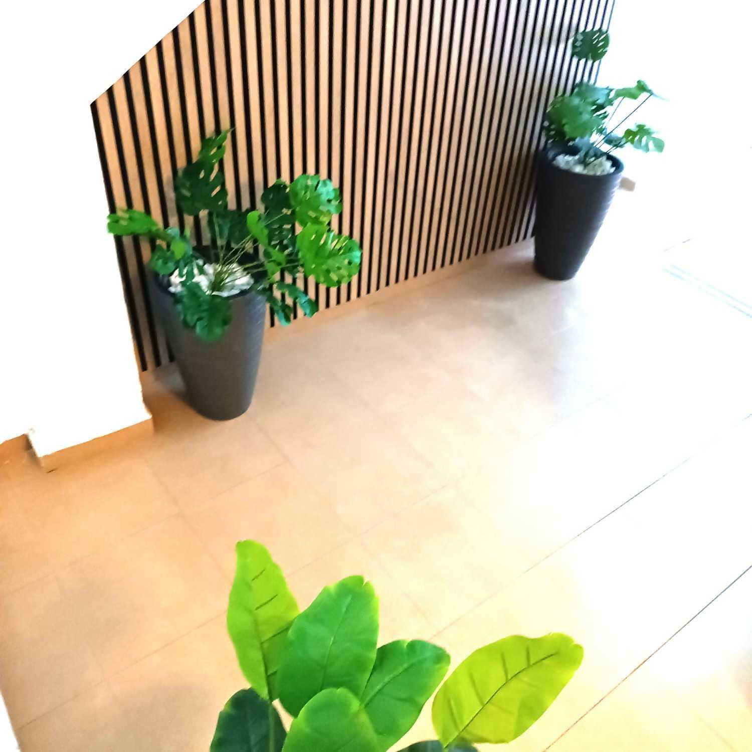 Apartamentos Larios Malaga Bagian luar foto